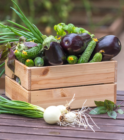 choisir-fruits-legumes